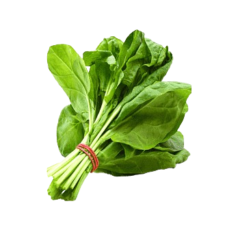 পালংশাক